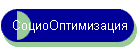 СоциоОптимизация